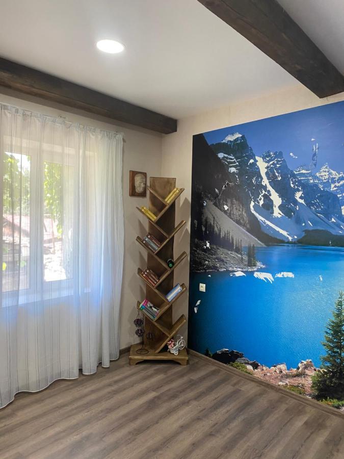 Iuri Udesiani'S Guesthouse ميستيا المظهر الخارجي الصورة