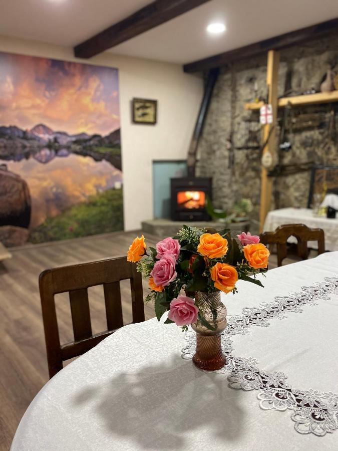 Iuri Udesiani'S Guesthouse ميستيا المظهر الخارجي الصورة