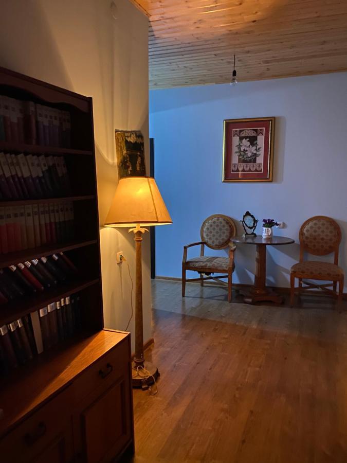 Iuri Udesiani'S Guesthouse ميستيا المظهر الخارجي الصورة