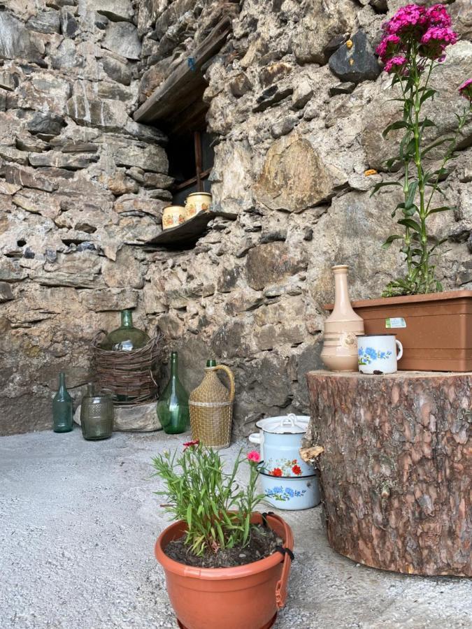 Iuri Udesiani'S Guesthouse ميستيا المظهر الخارجي الصورة