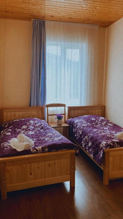 Iuri Udesiani'S Guesthouse ميستيا المظهر الخارجي الصورة
