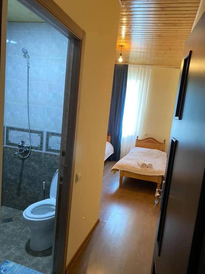 Iuri Udesiani'S Guesthouse ميستيا المظهر الخارجي الصورة